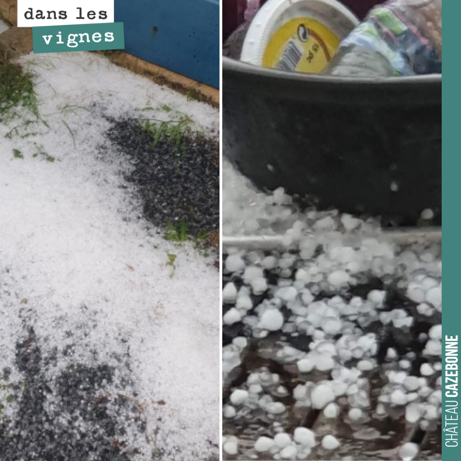 Photos prises par notre ami Fabian sur la commune de Mazeres, tout prêt d’un îlot de nos parcelles.
On ne chôme pas ce matin. Il faut que l’on cicatrise ce que l’on peut encore cicatriser.
Putain...