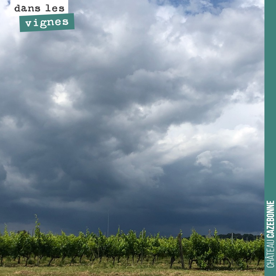 Les orages ne vont pas nous laisser tranquille. Gros orage en cours. Juste de la pluie chez nous.
On nous signale de la grêle dans l’Entre deux mers.
Année éprouvante.
On a traité ce matin. On e...