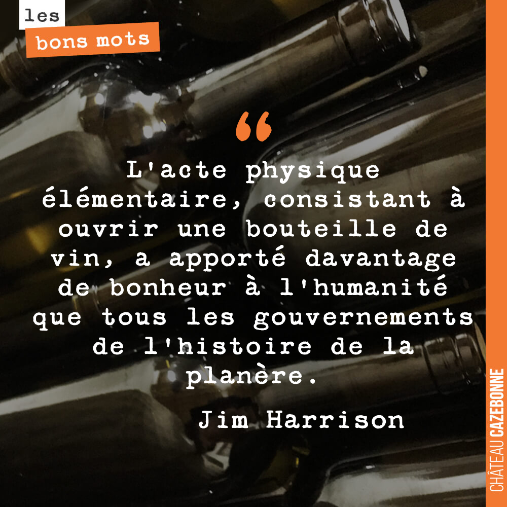 L'acte physique élémentaire, consistant à ouvrir une bouteille de vin, a apporté davantage de bonheur à l'humanité que tous les gouvernements de l'histoire de la planète