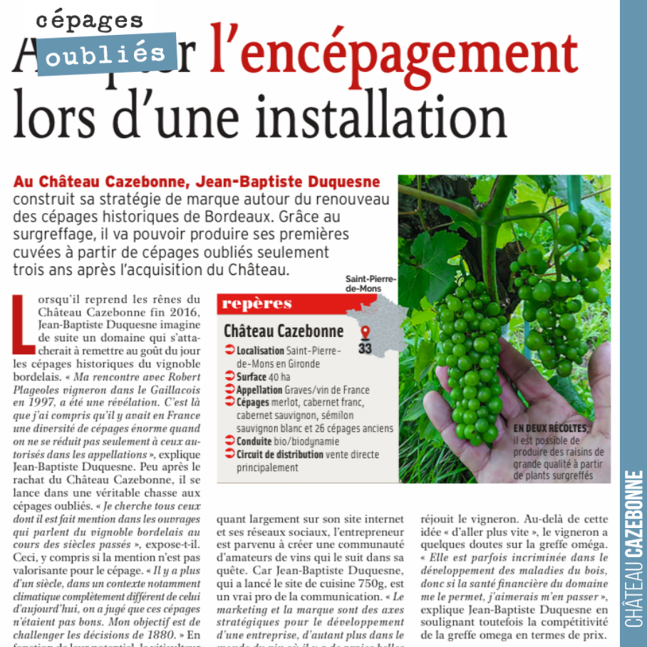 Notre témoignage dans le Reussir Vigne du mois de juin sur le surgreffage de cépages oubliés de Bordeaux dans nos vignes.