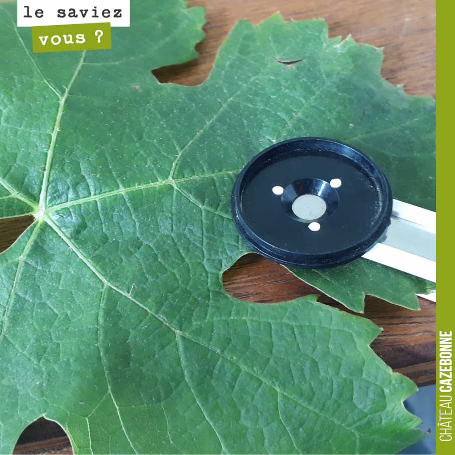 On analyse les feuilles de nos vignes pour voir s’il n’y a pas de carences.
Et bien apparement non, et c’est tant mieux, à part un peu d’azote.