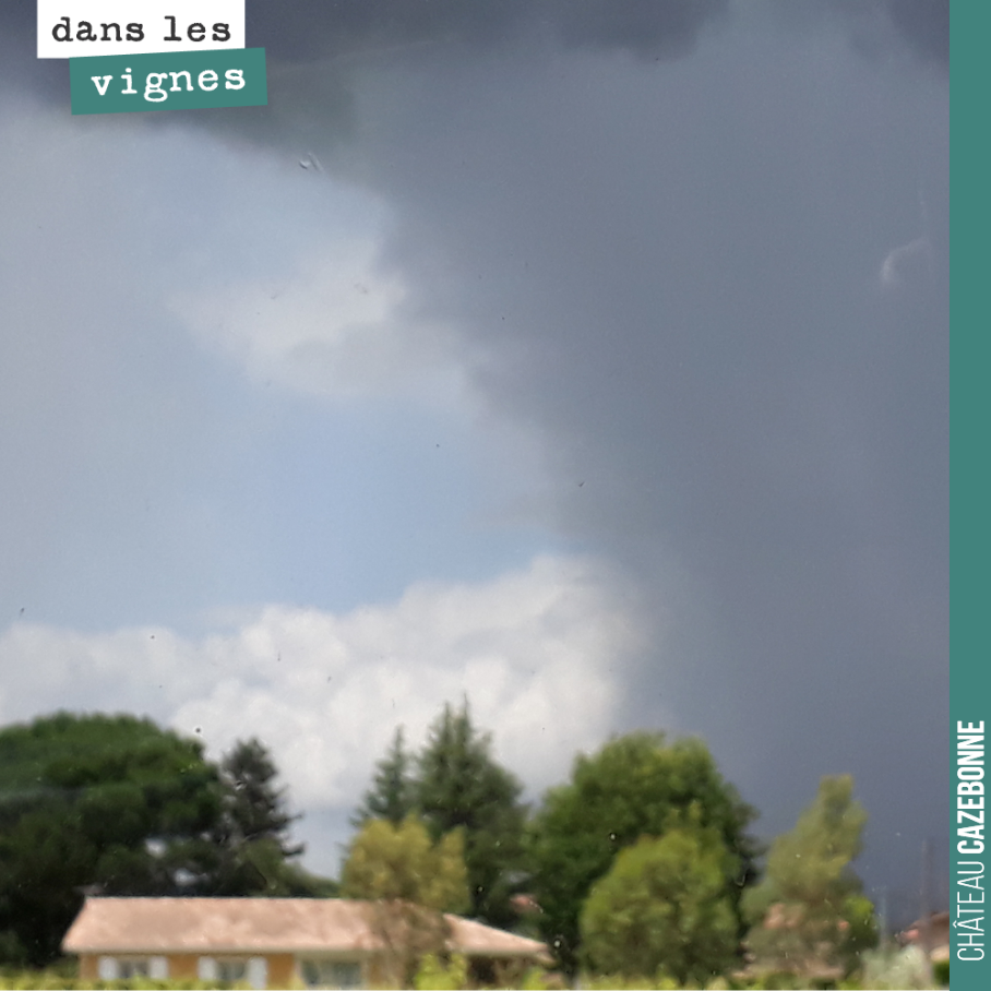 Les pluies sont derrière nous. Retour au beau temps avec des températures annoncées jusqu’à 32 degrés semaine prochaine.
Cette photo a été prise en début de semaine. Ces ciels d’orage nous ont fai...
