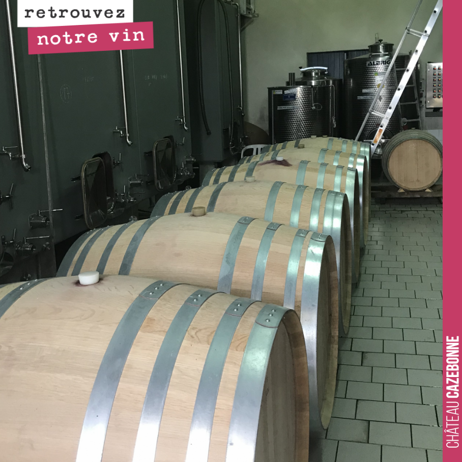 Notre Grand vin rouge 2019 fait son élevage en barriques de 500 litres.
Il va falloir les déplacer pour dégager la place avant les vendanges qui approchent.