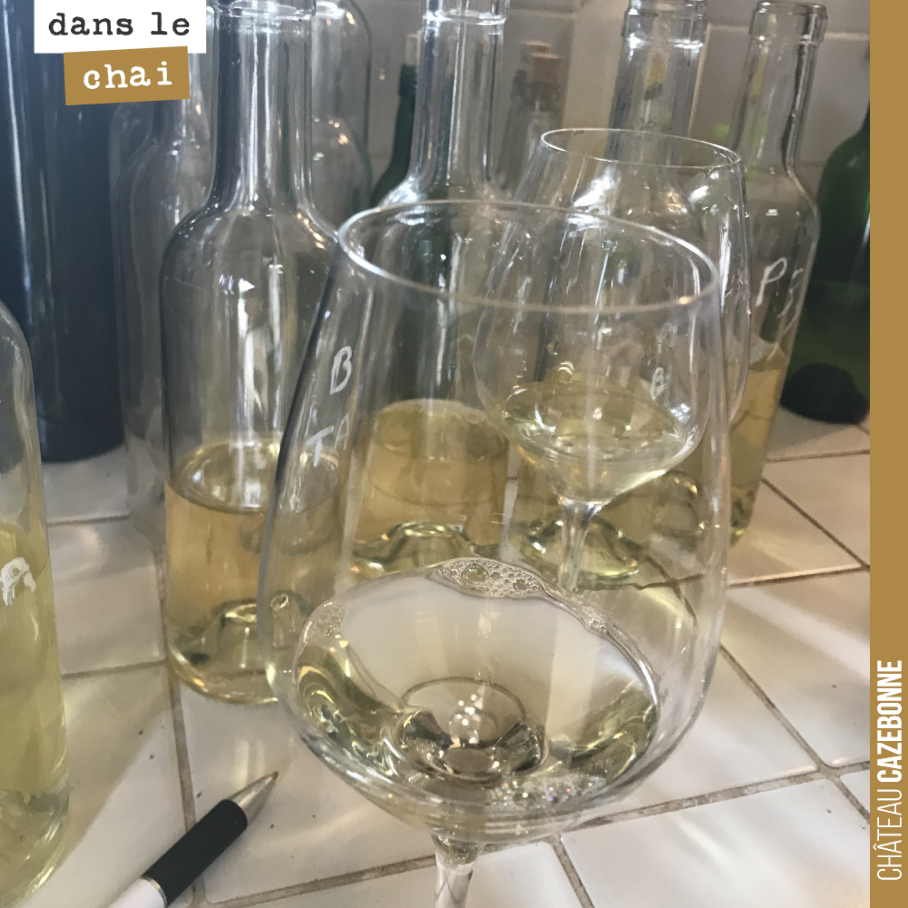 Dégustation finale de tous nos lots de blancs en amphores et barriques pour assemblage et mise en bouteille fin août.
Un lot a encore 5g de sucre résiduel, donc pas certain que l’on puisse mainten...