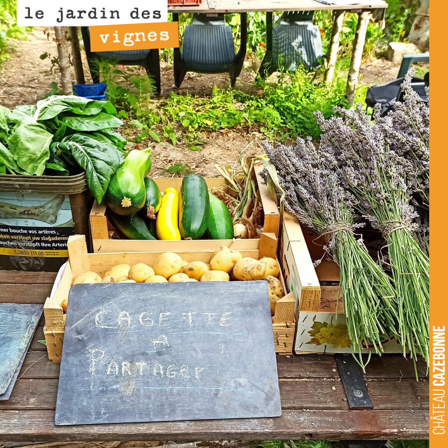 Francis nous avait proposé à Cazebonne de cultiver des légumes dans les vignes. De retour dans sa champagne viticole, il innove encore et vient de lancer Le Clos St Éloi, un jardin ouvert à tous.
...