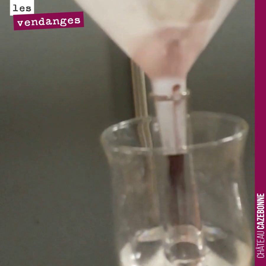 Ca boit une amphore... un demi litre à ajouter par semaine sur cette amphore de terre cuite. Une consommation encore plus forte sur l’amphore neuve en début d’élevage.