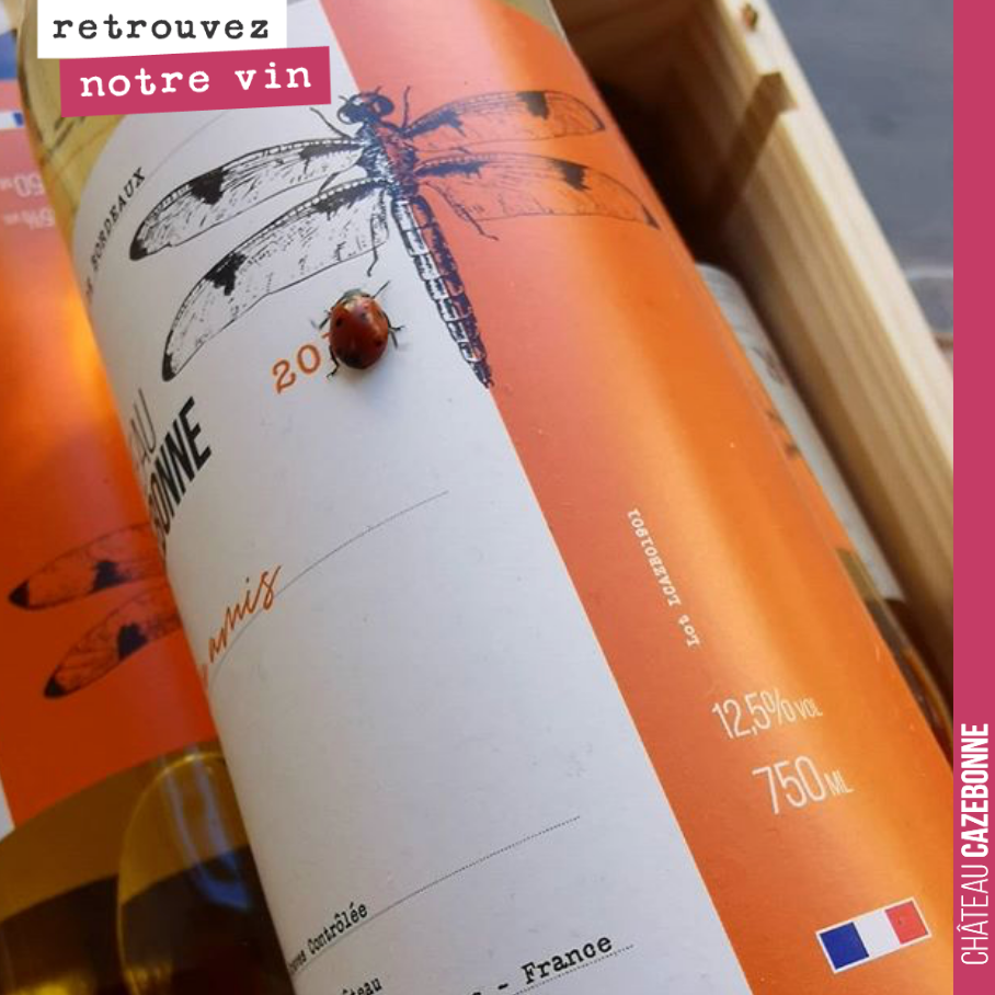 Une jolie coccinelle à la rencontre de la majestueuse libellule.
Merci 750g la table pour la photo !