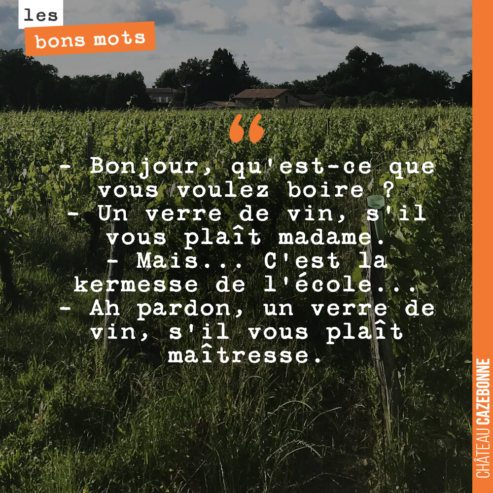 - Bonjour, qu'est-ce que vous voulez boire ? - Un verre de vin, s'il vous plaît madame. - Mais... C'est la kermesse de l'école... - Ah pardon, un verre de vin, s'il vous plaît maîtresse.