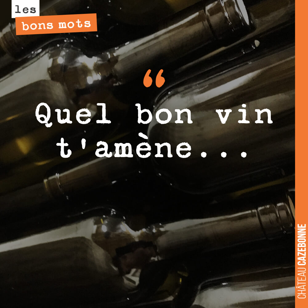 Quel bon vin t'amène...