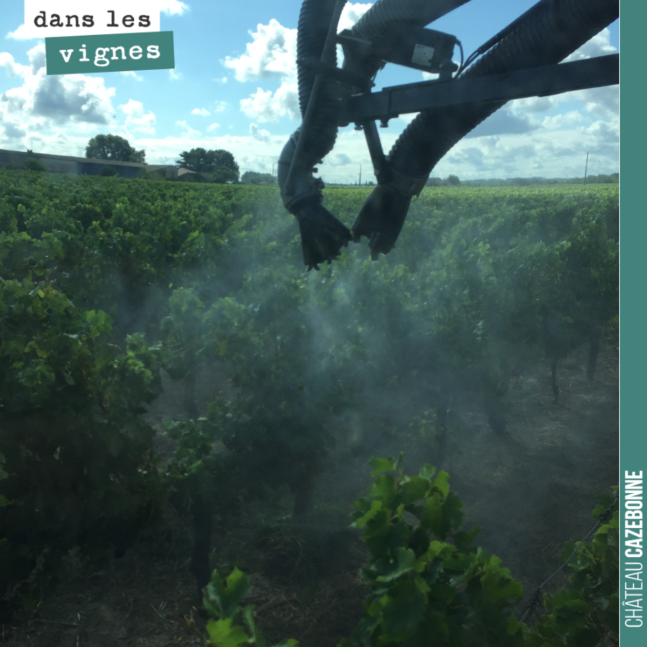 Un cuivre plus du bicarbonate de potassium sur les rouges pour éviter que le botrytis ne se développe suite à la grêle. Cela devrait tenir sur les cabernet sauvignon, c’est plus fragile à ce stade ...