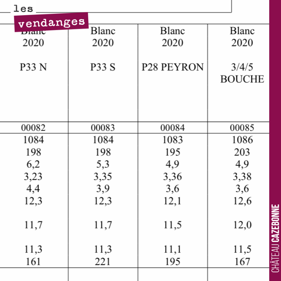 On commence samedi notre parcelle de Bouché.
Par rapport à l’année dernière, pour un même pH les degrés d’alcool sont moins élevés.
Tout l’enjeu est de récolter des raisins mûrs avec un parfait é...