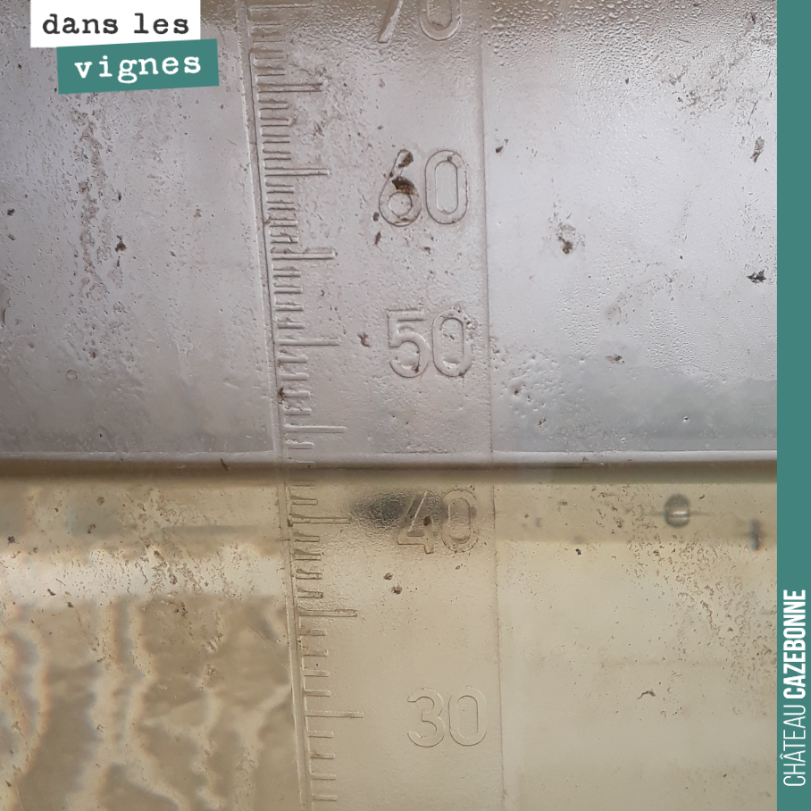 On a pris un peu plus de 40mm de pluie, ces dix derniers jours.
Pluie salvatrice à ce stade, car elle permet de rééquilibrer les jus sur les blancs et permet de débloquer la maturité sur les rouge...