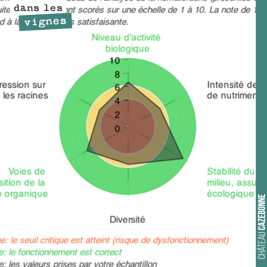 Nous avons fait faire une analyse de la vie de nos sols, sur la parcelle de Darche.
Il s'agit de faire un inventaire du vivant : nématodes, bactéries, champignons...
Un sol vivant, c'est un sol ...