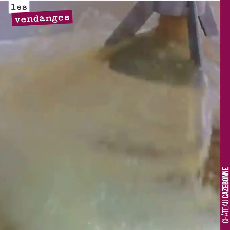 Dès que la fermentation a franchement démarré on fait un remontage avec aération d'un volume de cuve, et un autre le lendemain. Ces aérations sont indispensables à la levure pour synthétiser sa par...
