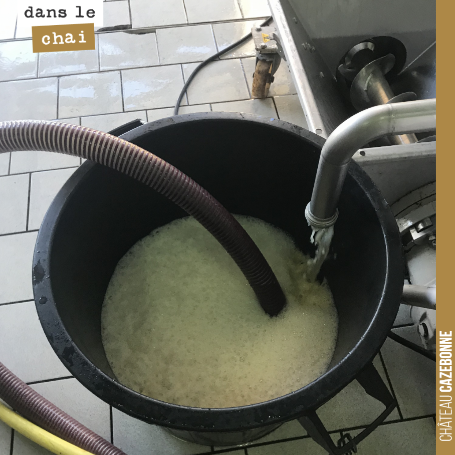 Soutirage de notre cuve de blanc réalisée cette année en macération. Comme pour un vin rouge, on a laissé démarrer les fermentations au contact des peaux de raisin. On a goûté chaque jour, pour con...