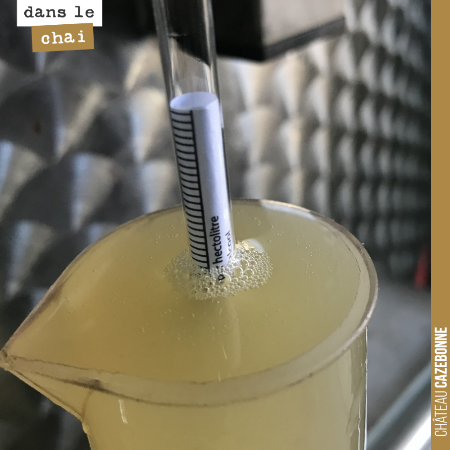 Le jus pour le petnat est prêt. 1003 de densité.
Un parfait équilibre entre le fruit et la fraîcheur.
Sur une dominante semillon avec une touche de sauvignon.
On met en bouteille demain. Rendez...
