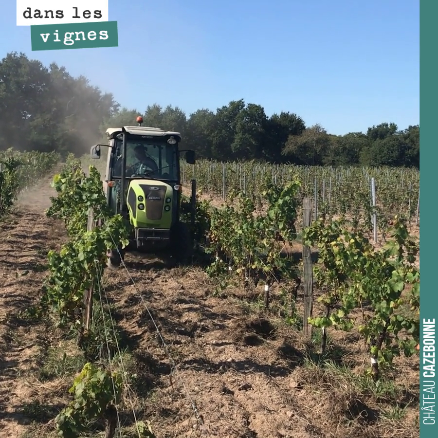 Dernier passage au Petalmatic dans les vignes surgreffées avant semis et buttage pour l’hiver.