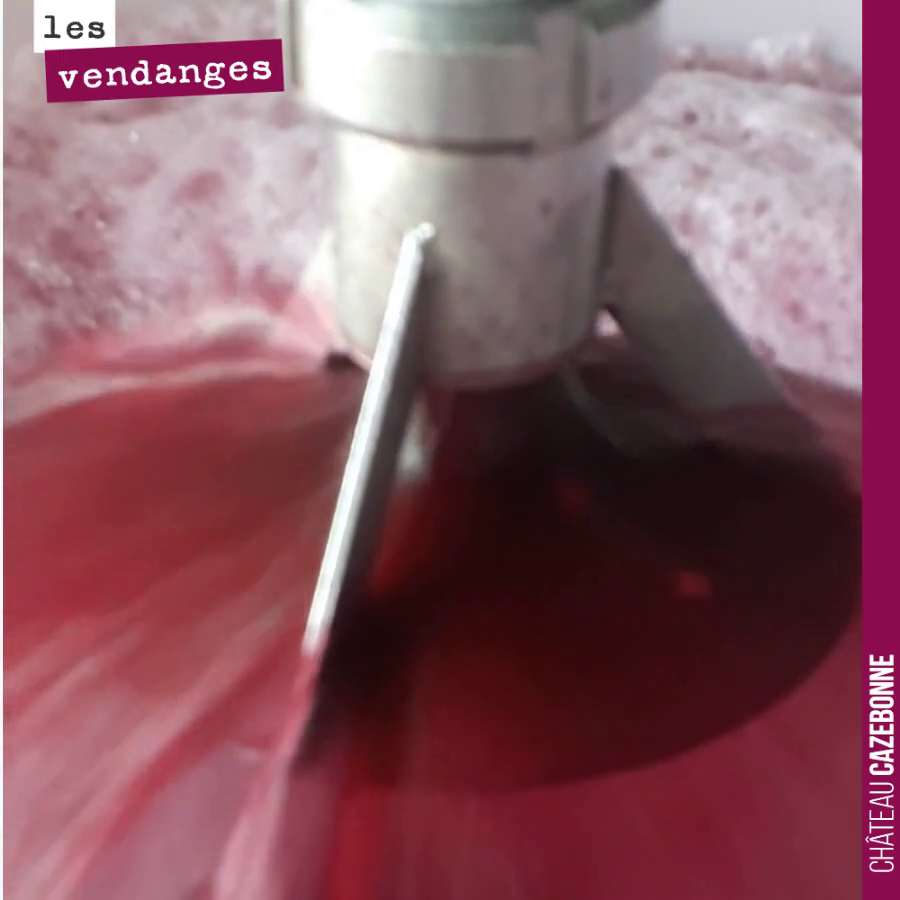 Remontage avec aération sur notre cuve de merlot.
Cela nous permet de bien mouiller le chapeau de marc et de permettre une meilleure extraction dès tannins. L’apport d’oxygène aide par ailleurs le...