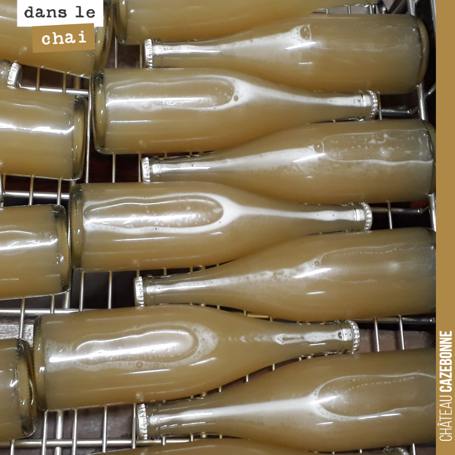 Les bouteilles de petnat vont maintenant sagement patienter tout l’hiver et initier leur fermentation en bouteille !
