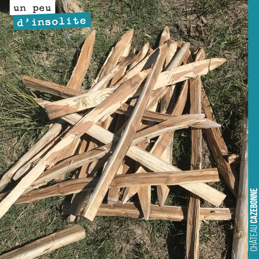 Mikado dans les vignes.
Qui commence ?