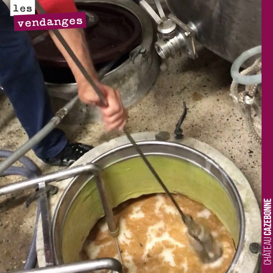 Rien de mieux pour l’apéro que d’aller tirer un échantillon directement à la cuve.
Merci Regis pour ton accueil et ton sauvignon 2020 goûte déjà très bien.
#apero #sauvignon #millesime2020