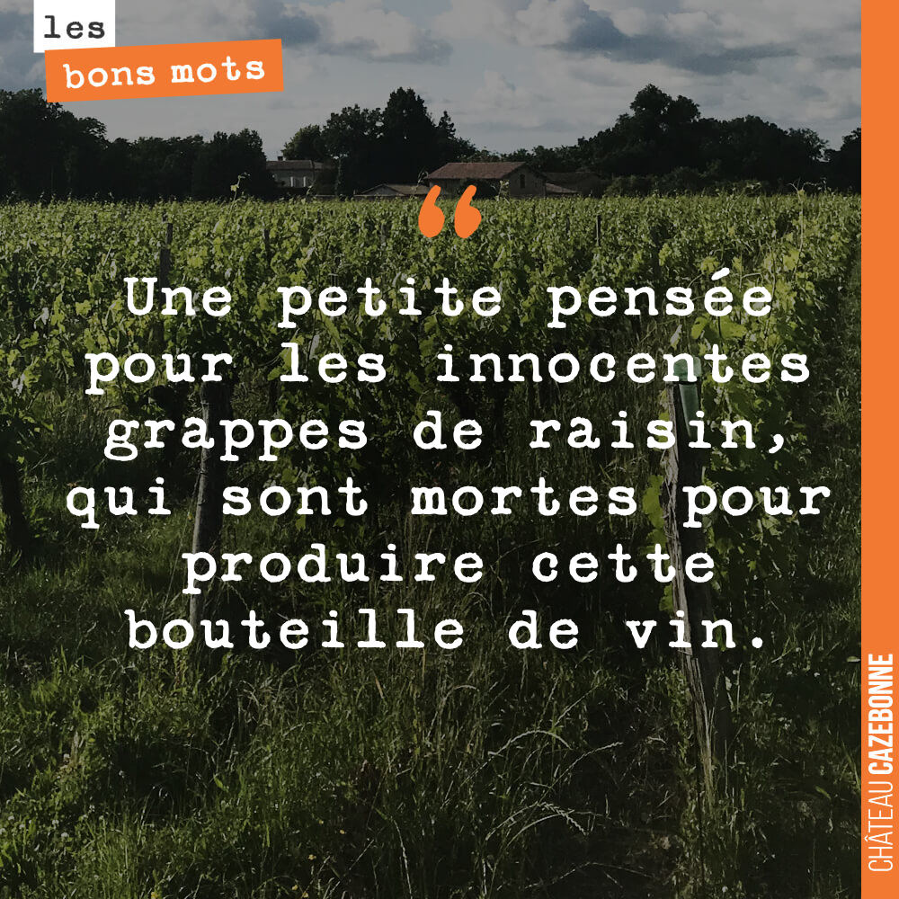 Une petite pensée pour les innocentes grappes de raisin, qui sont mortes pour produire cette bouteille de vin.