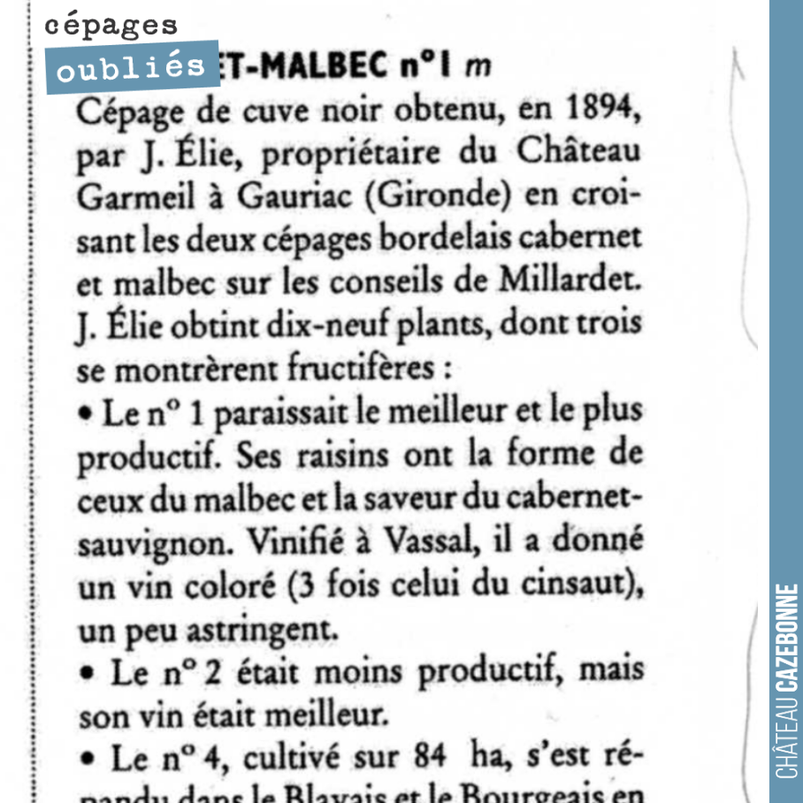 En 1894, on innovait, on inventait des cépages...
L’appellation, au final, en voulant mettre en place une typicité a stoppé l’innovation... ou du moins stoppé la diffusion de nouveaux cépages dans...