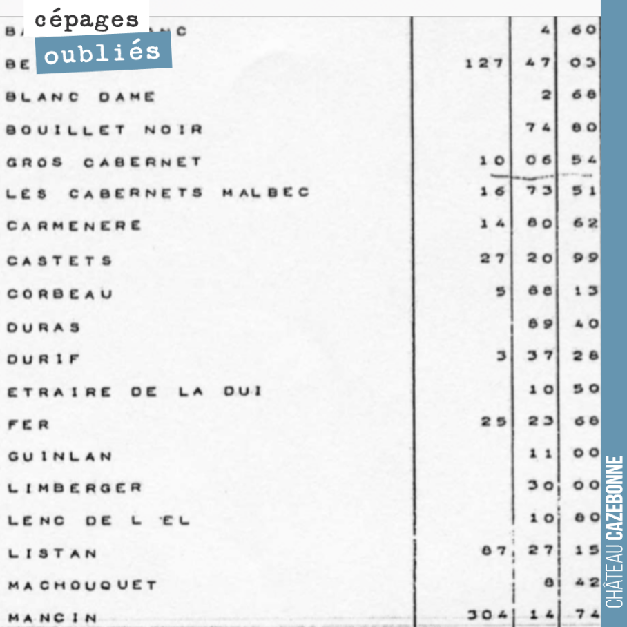 Recensement général du vignoble de la Gironde datant de 1964.
Le vignoble bordelais était encore riche d’une multitude de cépages : Bequignol, Mancin, Castets, Cabernet-Malbec, Gros cabernet...
H...