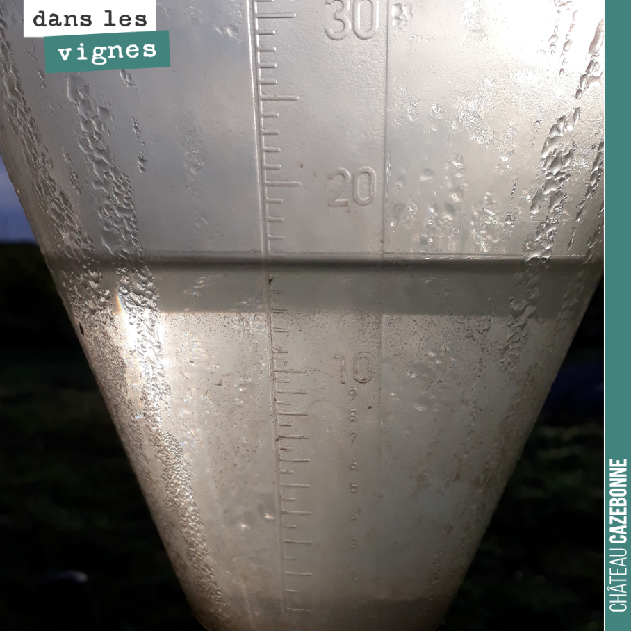 Encore 15 mm de pluie ce week end. On attaque la vendange des cabernet-sauvignons aujourd’hui, pour finir mercredi. C’est mûr et encore sain. Mieux vaut les rentrer avant que cela lâche, surtout qu...