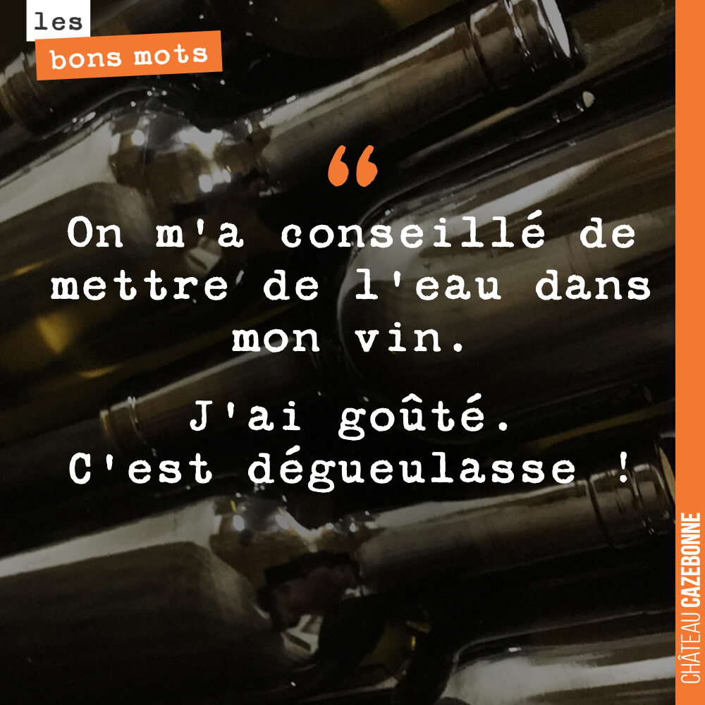 On m'a conseillé de mettre de l'eau dans mon vin. J'ai goûté. C'est dégueulasse !