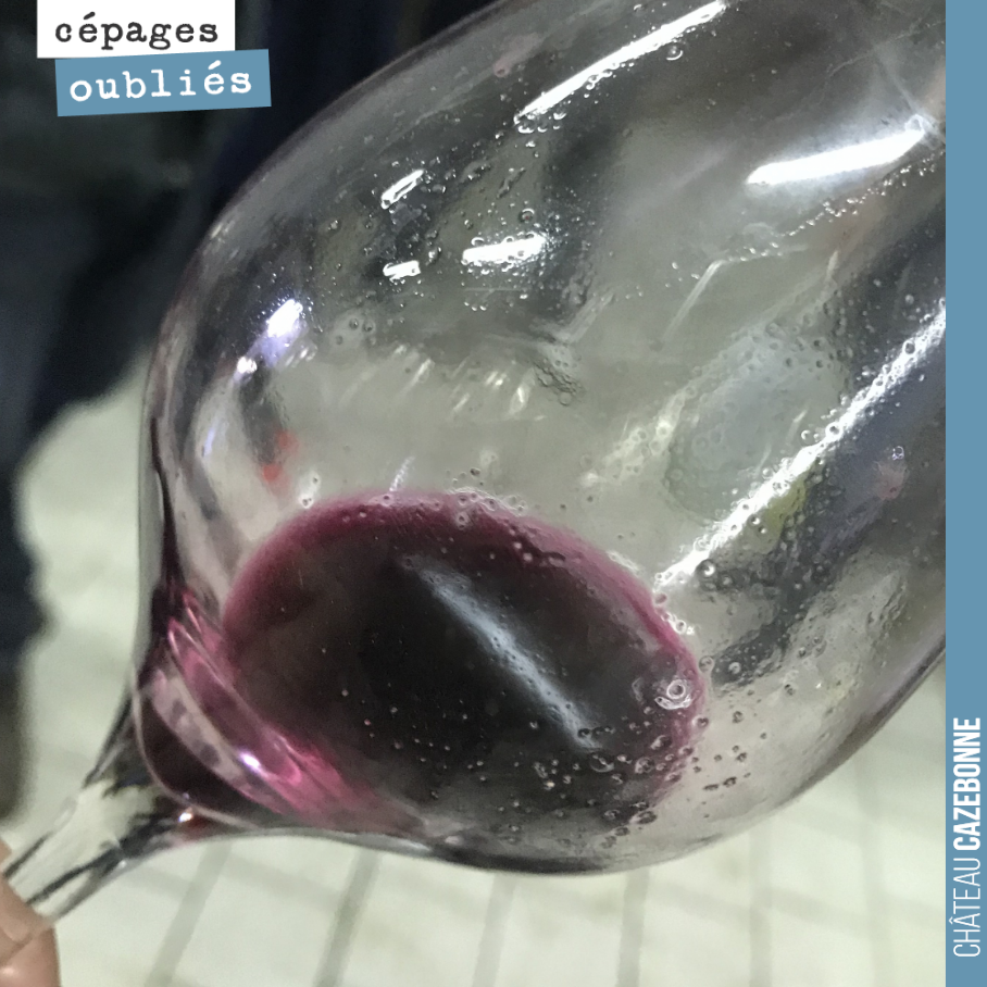 On déguste la cuve de Saint-Macaire, Bouchales et Jurançon noir, qui a finie sa fermentation.
Une joli jus éclatant de fruit, avec une belle acidité. On va assembler cela avec le Castets et le Man...