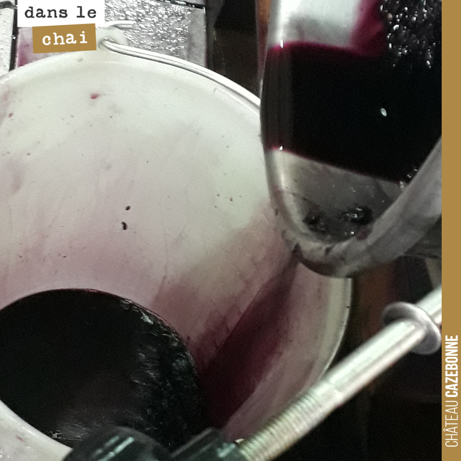 Ecoulage de nos cuves de merlot après 14 jours de macération pelliculaire.
Juste ce qu’il fallait pour extraire la couleur, sublimer le fruit ! Nul besoin de pousser plus la macération pour la cuv...