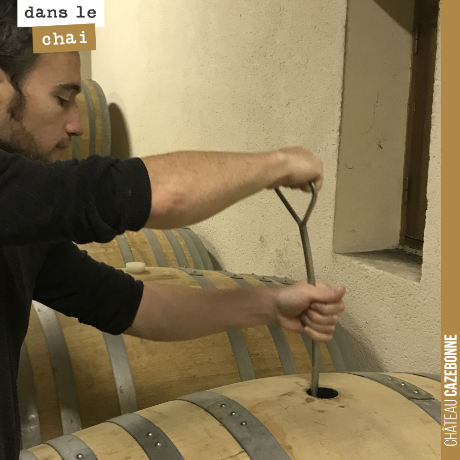 Batonnage des blancs pour remuer les lies, les aider à finir les fermentations (il reste un peu de sucre sur certaines barriques) et apporter plus de complexité et de gras au vin.
Le millésime 202...