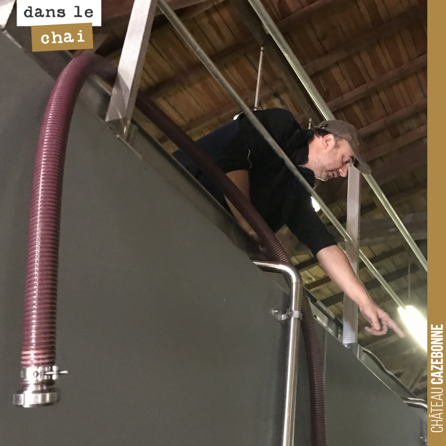 David à la manœuvre, pour le remontage de nos cuves de cabernet-sauvignon.
Pendant les fermentations, les remontages ont une triple fonction :
- mouiller le chapeau, afin qu’il ne sèche pas et é...