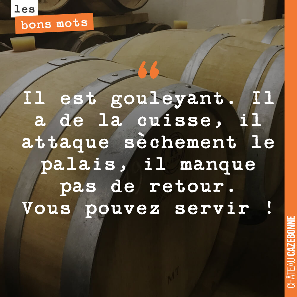 Il est gouleyant. Il a de la cuisse, il attaque sèchement le palais, il manque pas de retour. Vous pouvez servir !