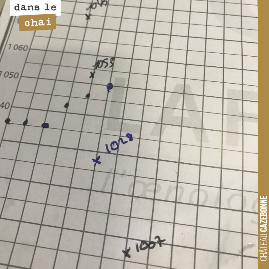 La courbe de fermentation sur le cabernet-sauvignon a une bonne tête. On est descendu depuis cette photo à 996. Encore un tout petit effort et on aura fini les sucres. On brasse les lies, on mouill...