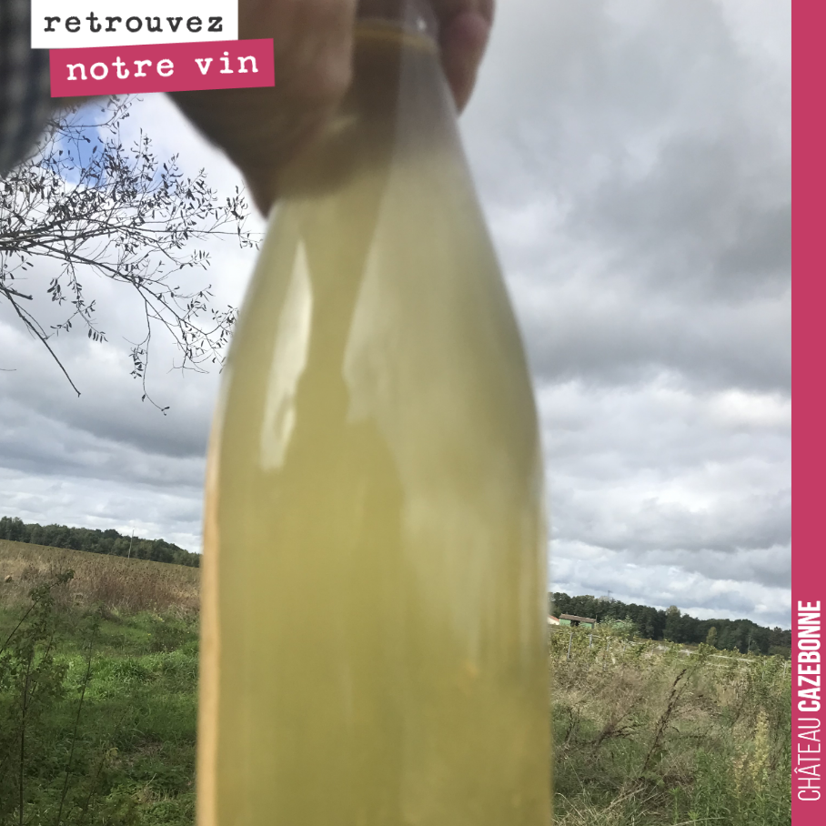 Il commence à avoir une jolie couleur, notre petnat ! Et on a goûté, et c’est vraiment délicieux. Croquant de fruit, jolie fraîcheur, pour un assemblage moitié sauvignon, moitié sémillon, avec moit...