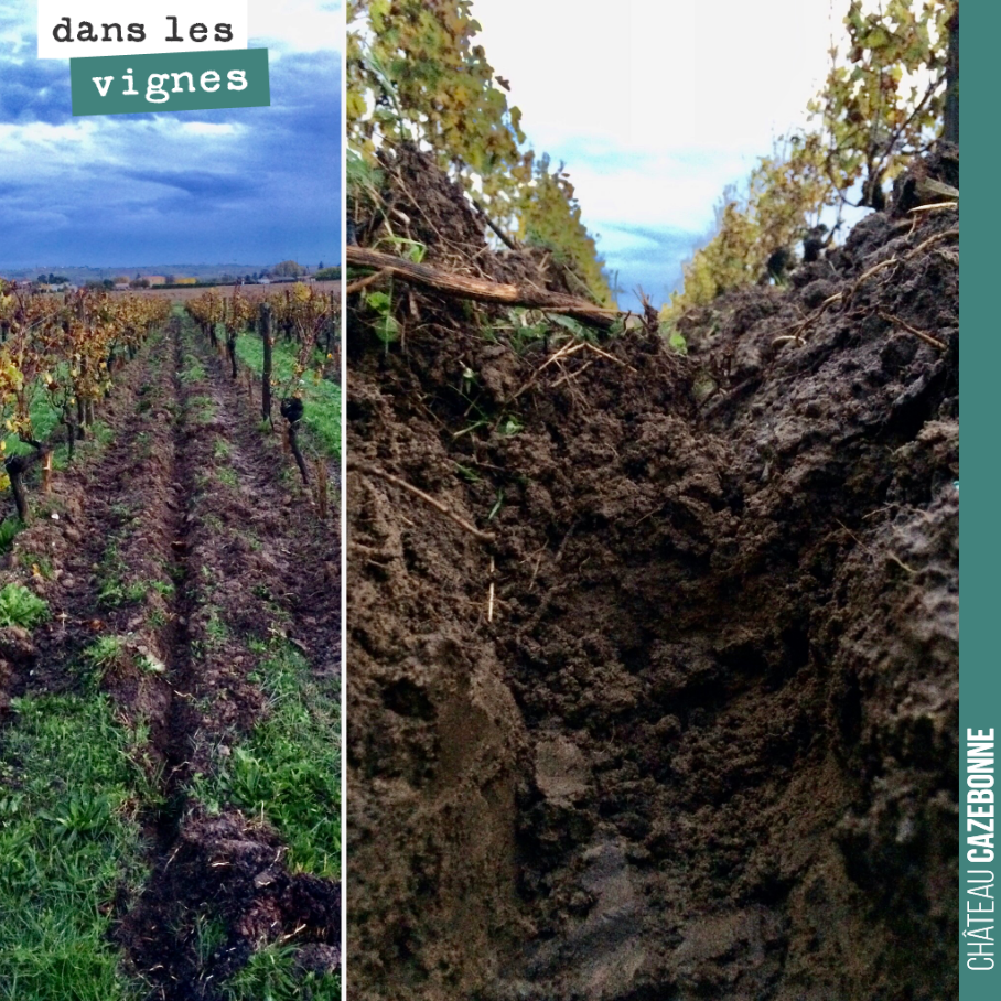 On sous-sole nos parcelles les plus poussives. Il s’agit d’enfoncer une lame verticale dans le sol pour drainer et aérer les sols tassés qui n’ont pas été sous-solés depuis une dizaine d’année. On ...