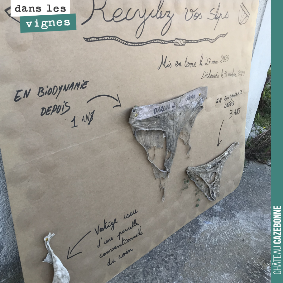 Test du slip. Le résultat !
Valentin a déterré les slips qu’il avait enterré dans une parcelle en conventionnel, une parcelle en biodynamie depuis un an et une en biodynamie depuis 3 ans.
Les rés...