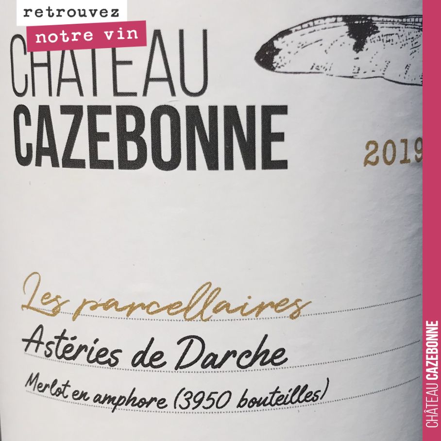 On continue avec la présentation de nos cuvées.
Sur notre parcelle de Darche, celle qui est la plus proche de la Garonne (et la plus basse en altitude), la roche mère de calcaires à astéries (même...