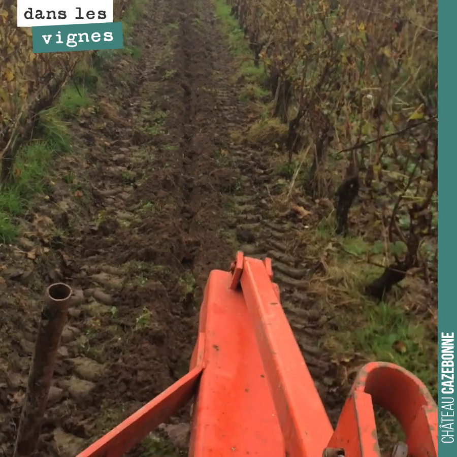 Sous solage de nos parcelles les plus en souffrance, un rang sur deux. Décompacter le sol avec une lame à 40 ou 50 centimètres de profondeur, sans retourner le sol.