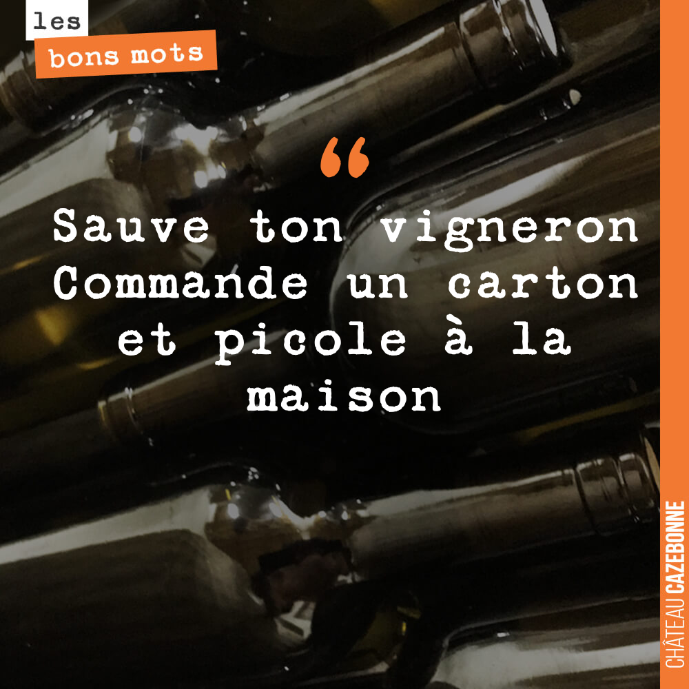 Sauve ton vigneron Commande un carton et picole à la maison