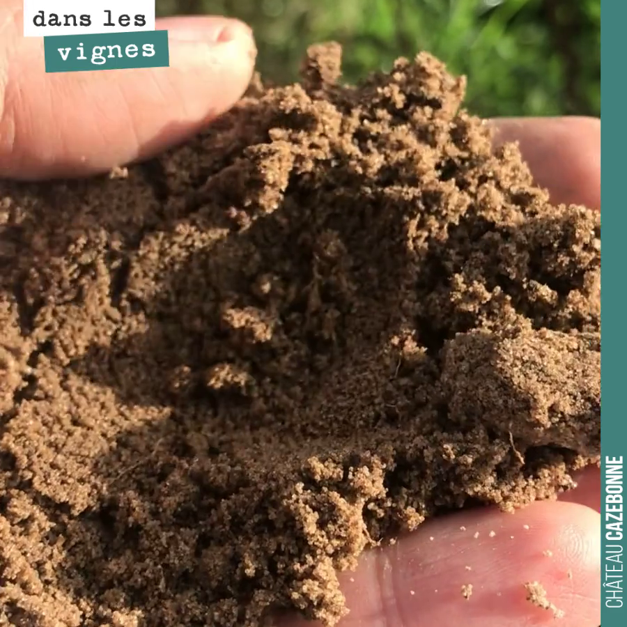 Diversité de nos terroirs.
Sur notre seule parcelle de Peyrous, nous avons identifié quatre îlots géologiques de nature complètement différentes : des argiles grises, des sables limoneux, et autre...