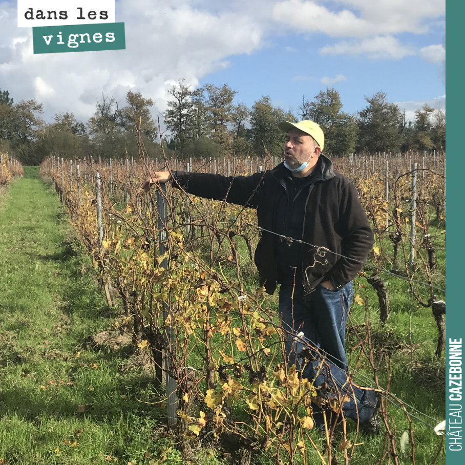 Tour des vignes avec David pour préparer le plan de taille de cet hiver. La taille est une étape clef. Adapter la charge à chaque pied, en fonction de ce qu’il peut nous donner, ni trop ni trop peu...