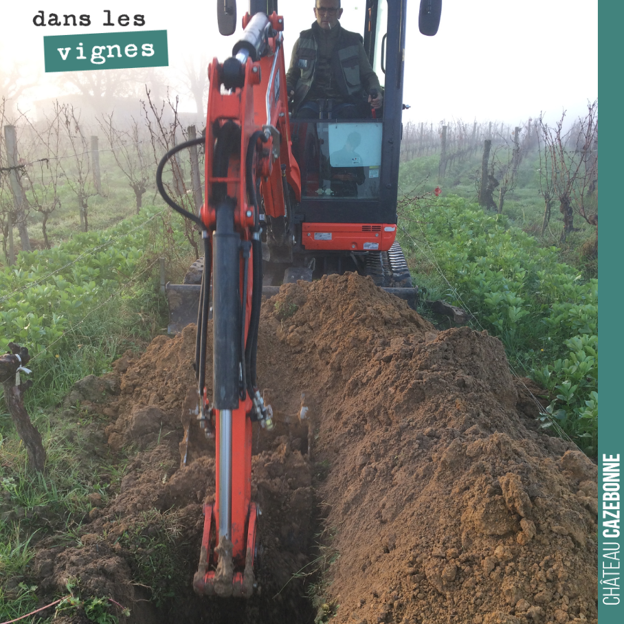 On a creusé des fosses vendredi, dans nos parcelles où les vignes sont le plus en souffrance. Comprendre la structure des sols, faire des analyses de ceux ci, vérifier l’enracinement des vignes...
...
