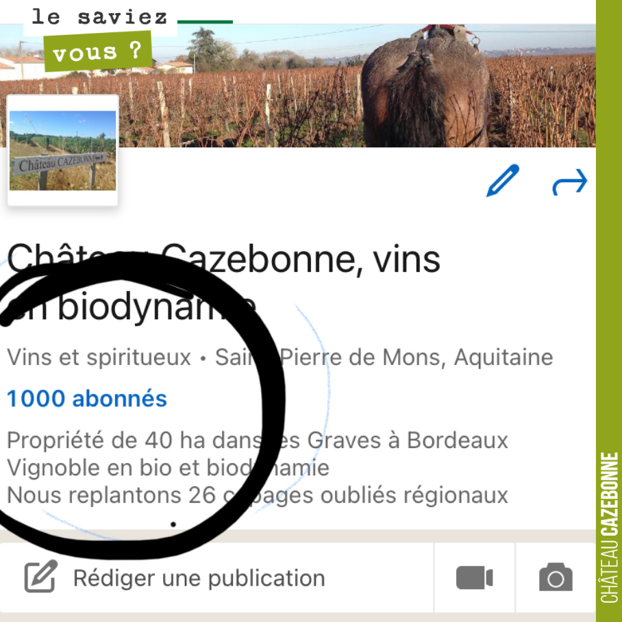 L’année dernière, nous avons lancé notre page Linkedin, sans trop y croire, juste pour y être.
Et bien, un an plus tard, vous êtes 1000 à y suivre nos aventures.
Comme quoi la sphère privé peut r...