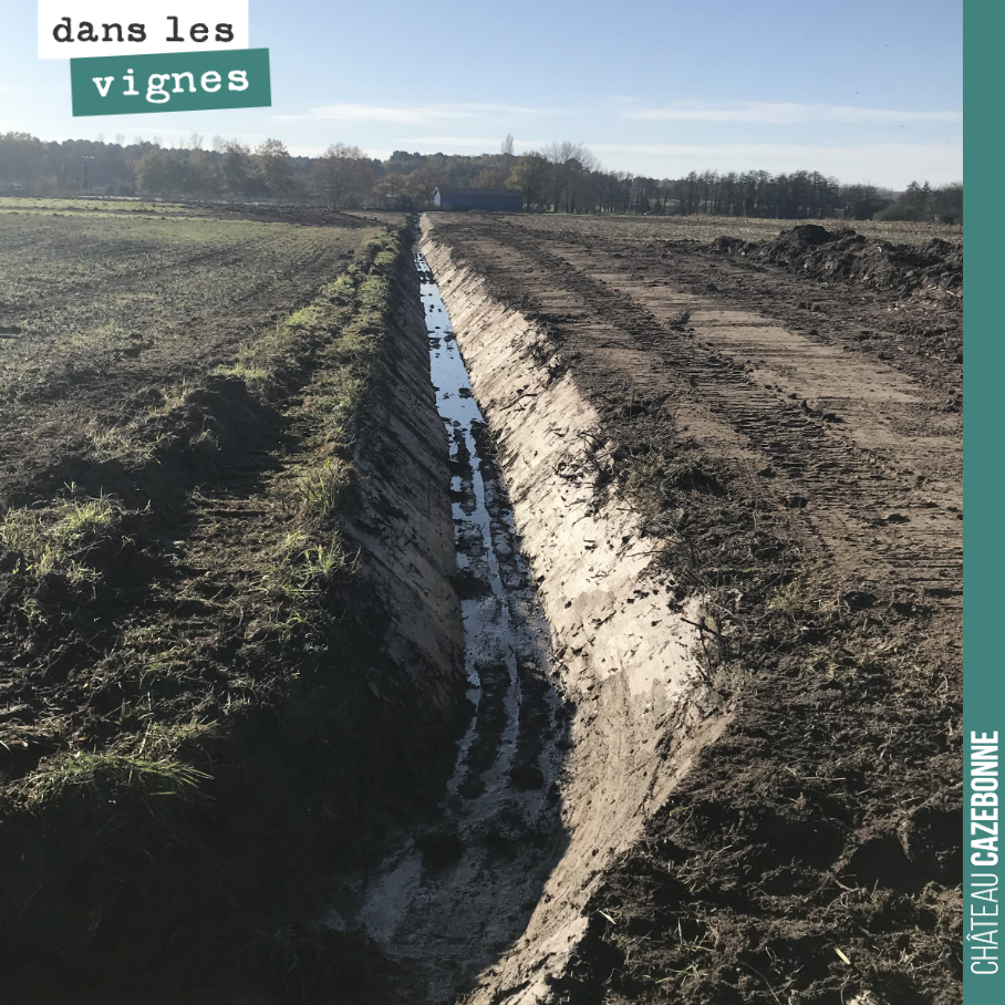 Drainage et curetage de fossé avant plantation au printemps.
Étape essentielle si on veut une vigne en bonne santé. La vigne déteste les mouillères dans une parcelle.