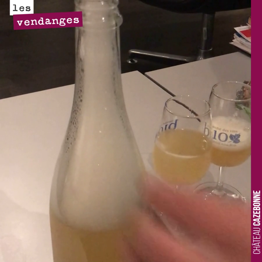 On ne peut pas réussir à tous les coups !
Nous avons décidé de reporter la commercialisation de notre petnat. Et pourtant, il est très très bon...
Mais cette mousse abondante à l’ouverture rend com...