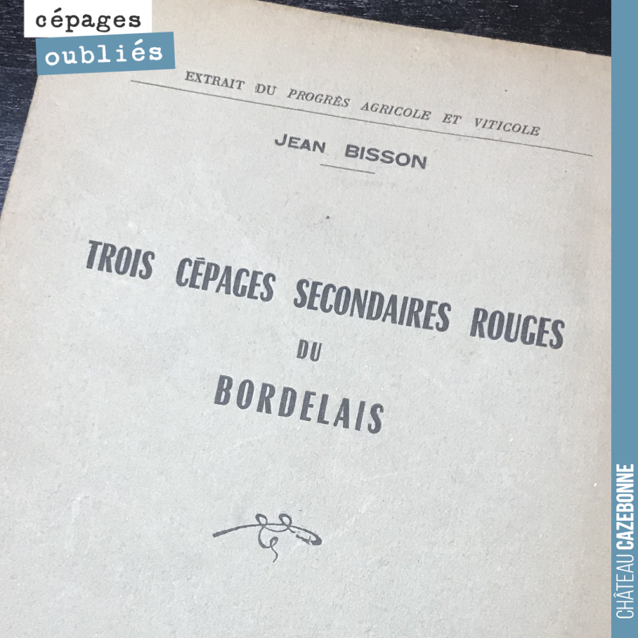 Je viens d’ouvrir mes cadeaux de Noël. Une pièce maîtresse manquante à ma collection datant de 1957, juste après le gel de 1956, date clef dans la restructuration du vignoble bordelais.
A votre av...