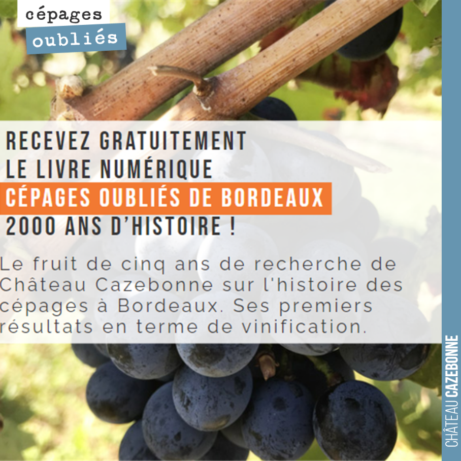 Préface ou Pourquoi écrire ce livre ?
Comme tout amateur de vin, j’ai dévoré nombre de livres, afin de comprendre les appellations, les terroirs, les cépages, les hommes qui font toute la diversi...